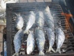 Fisch auf dem Grill