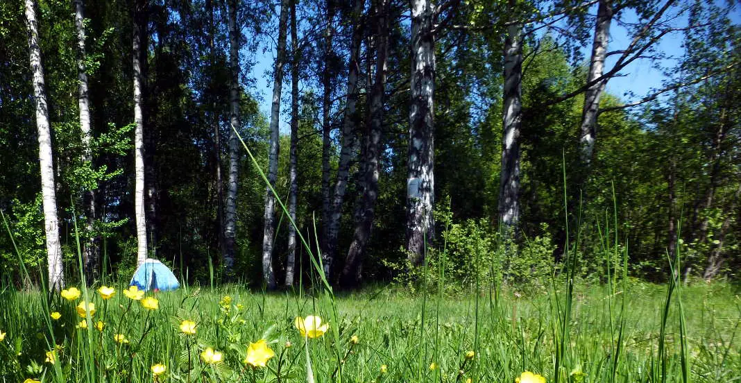 Roadtrip Norwegen Camping Zelt