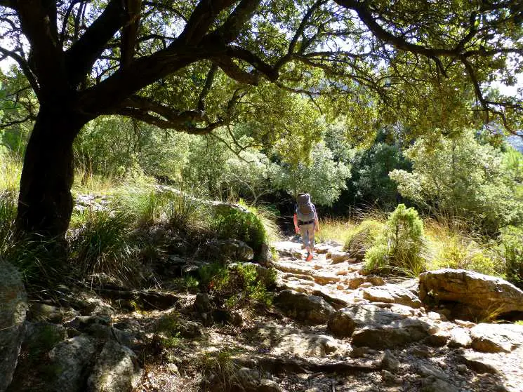 Trockenmauerweg Wandern Mallorca