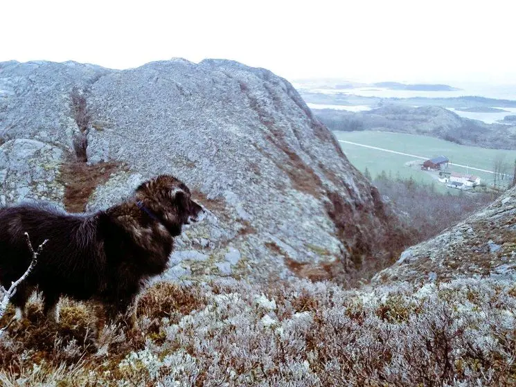 Wandern Torghatten Wandern