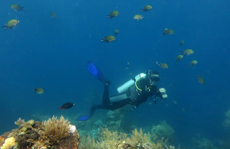 Tauchen Tulamben Bali Wrack