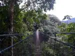 Dschungel Brücke Costa Rica