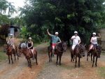 Pferdewanderung Costa Rica