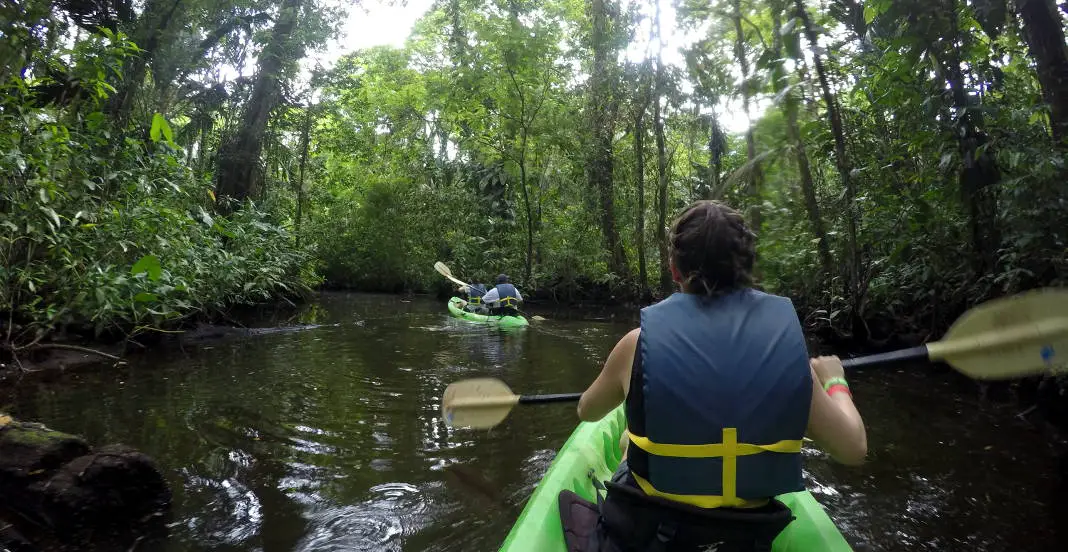 Kajak Expedition Tortuguero Costa Rica