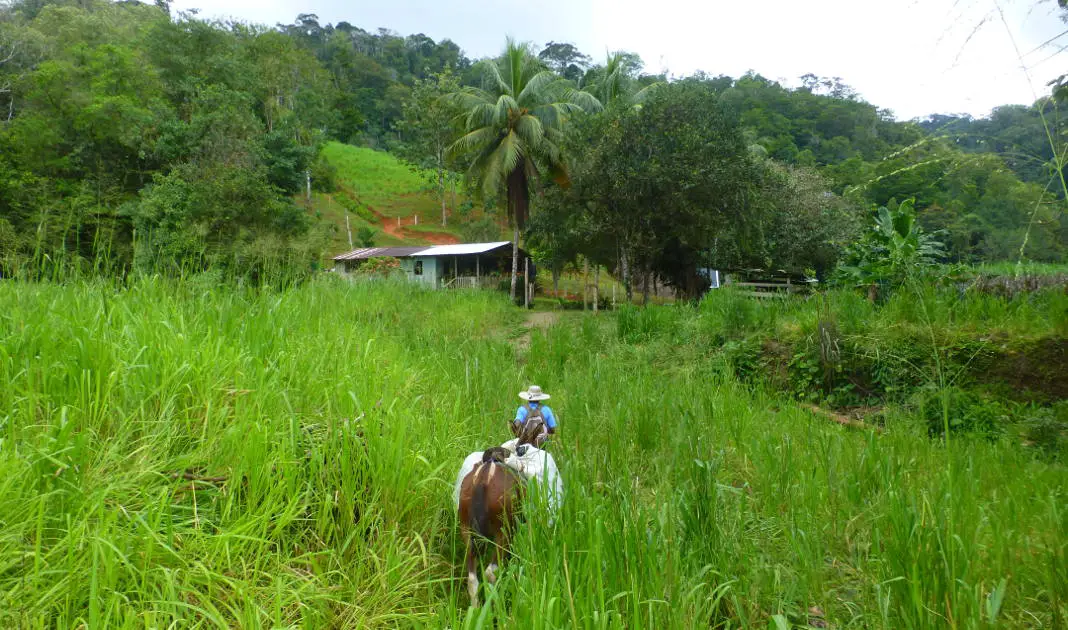 Caminos de Osa Costa Rica