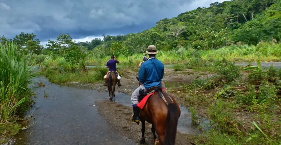 Pferde reiten Caminos de Osa