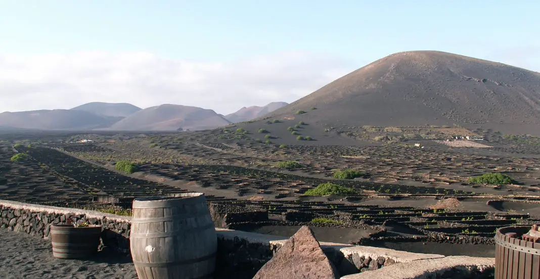 Vulkan Wein Lanzarote