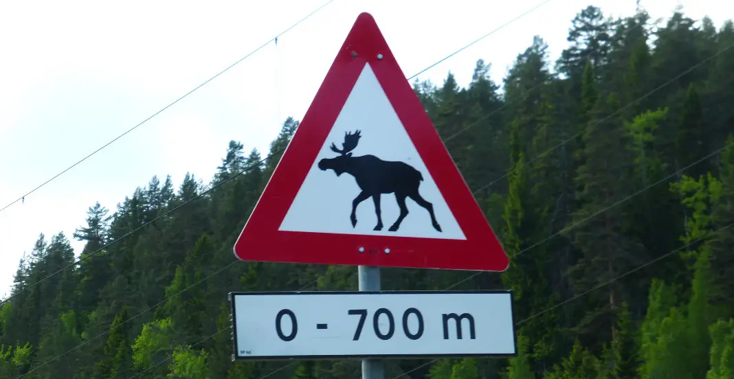 Roadtrip Norwegen Verkehrsregeln