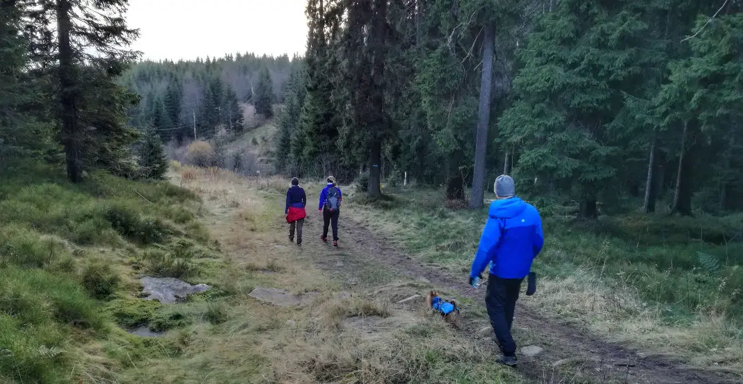 Wandern Olso Nordmarka