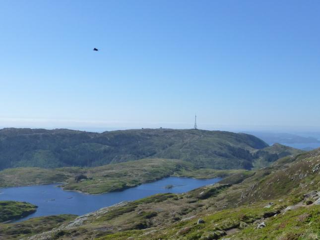 7 summits von Bergen - Rundemannen