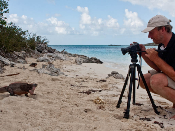 Bahamas: Fotosession am Strand