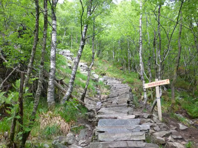 Die 7 Summits von Bergen - Sandviksfjellet