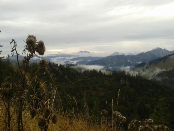 Die deutschen Alpen