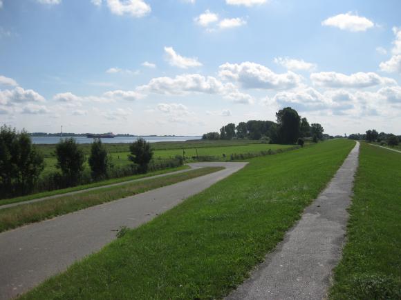 Fahrradweg auf dem Elbdeich Fahrradweg auf dem Elbdeich