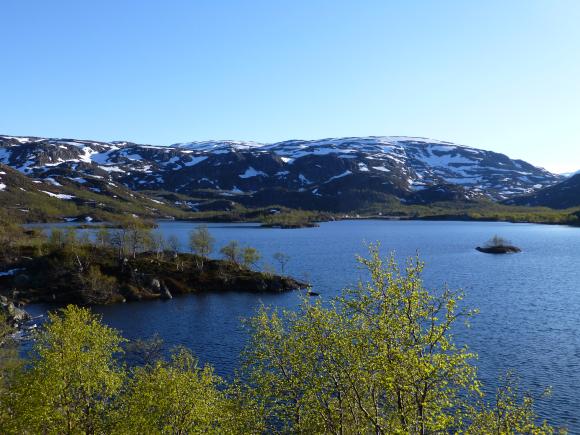 Hardangervidda Norwegen