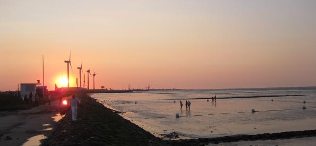 Menschen im Watt der Nordsee