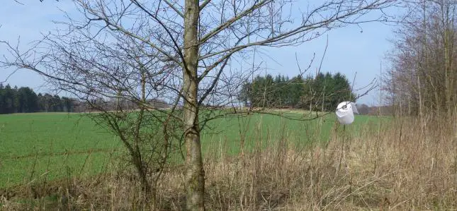 Endlich Frühling: Zeit für Abenteuer um die Ecke